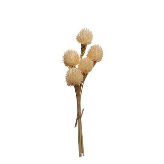 Dried White Gomphrena Decorative Naturals by Ashland&#xAE;